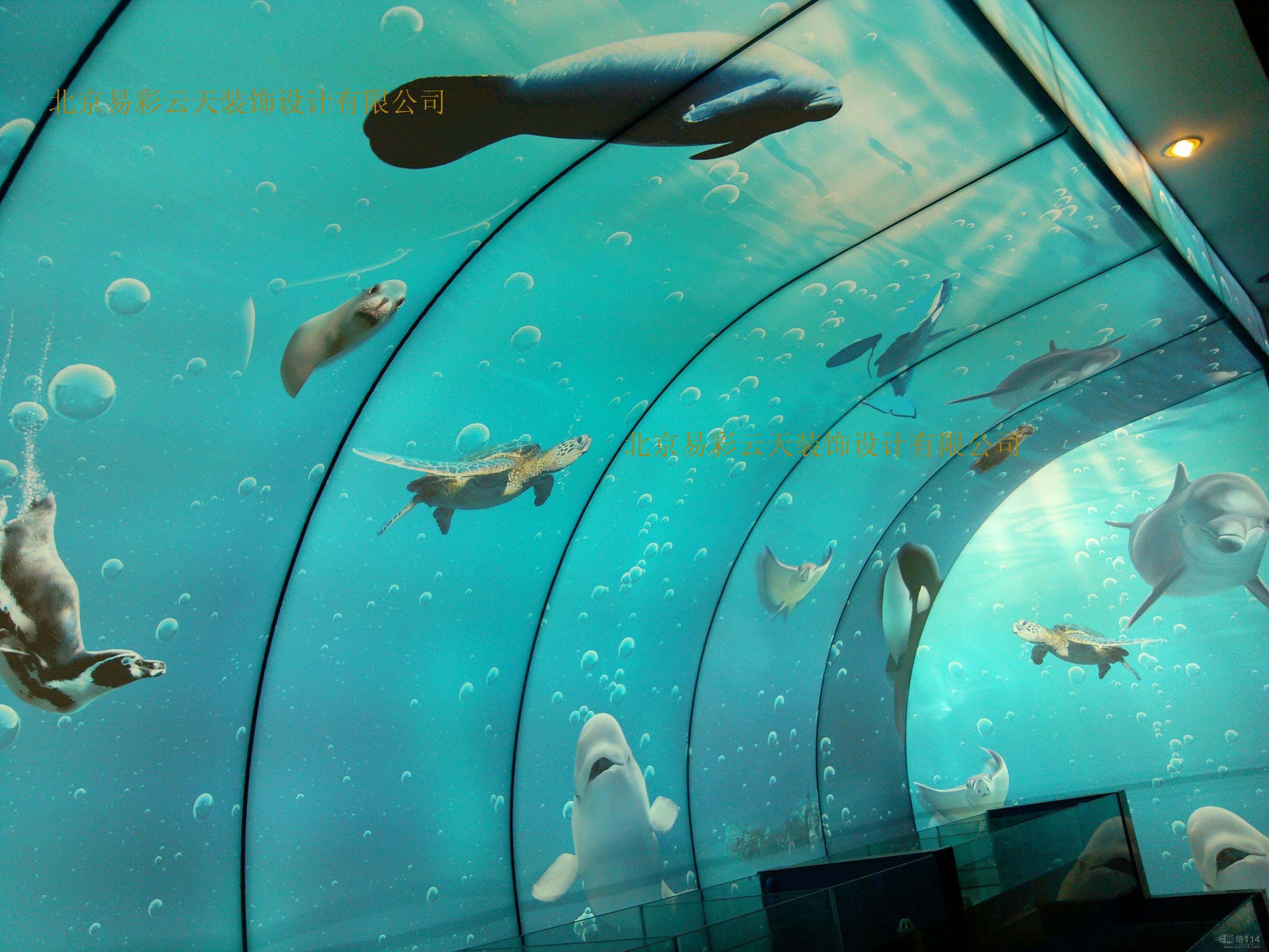 海底世界背景墙